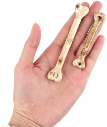 20 Pcs Mini Skeleton Bones Halloween Decor Prop 1