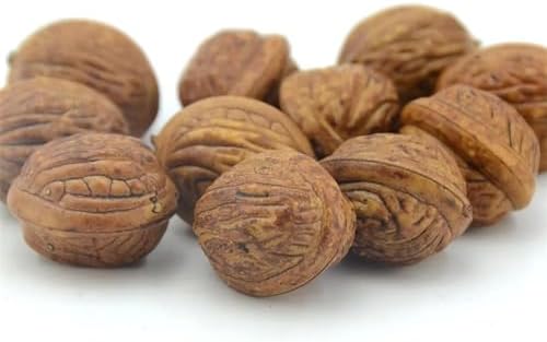Kungzunmolds Artificial Plastic Walnut 10Pcs Christmas Wedding Home Party Decor