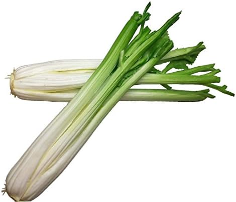 Lorigun Artificial Celery Sticks 2Pcs for Kitchen Decor