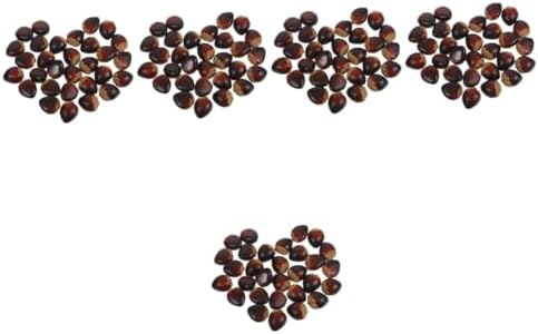 PRETYZOOM 5 Sets Realistic Artificial Chestnuts Decorations