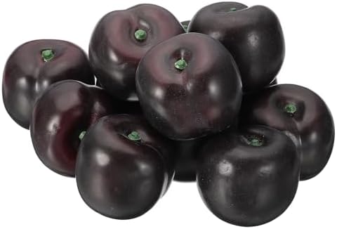 PATIKIL 12 Pcs Artificial Black Brin Plum Decoration
