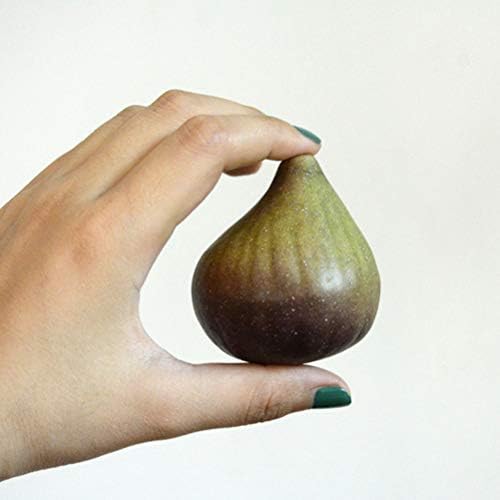 5PCS Artificial Fig Decor for Home Kitchen Photography Props