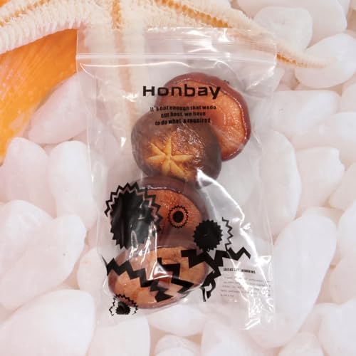 Honbay 4PCS Realistic Artificial Barbecue Mushroom Decorations