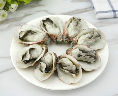 8Pcs Artificial Oysters Display Prop for Kitchen Decorations