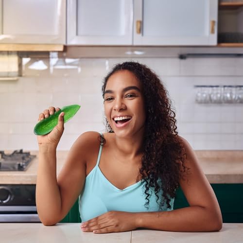 Realistic Squishy Cucumber Artificial Decor