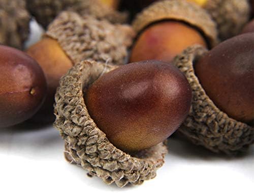 Veemoon 60pcs Artificial Acorn Fall Decor