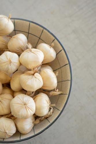 First of a Kind Artificial Garlic String - Lifelike Kitchen Decor