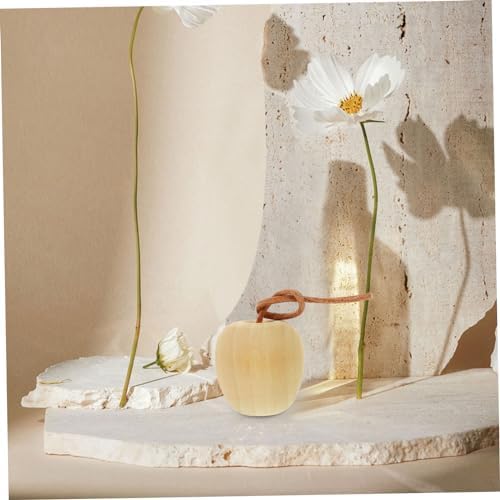 4pcs Unpainted Wooden Fruit Ornaments DIY Kit for Home and Kitchen