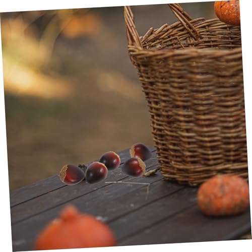 PRETYZOOM 5 Sets Realistic Artificial Chestnuts Decorations