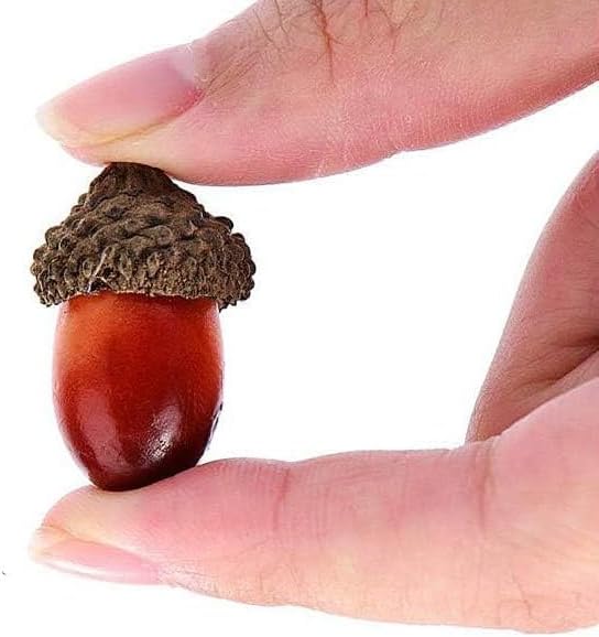 AKOAK Artificial Acorns 30 Pcs Dark Brown Lifelike