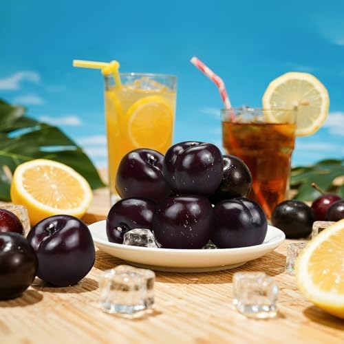 Lorigun 9pcs Artificial Black Plum Photography Props