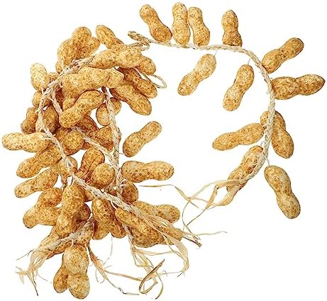 GLEAVI 5 Pack Artificial Peanut String Decorations