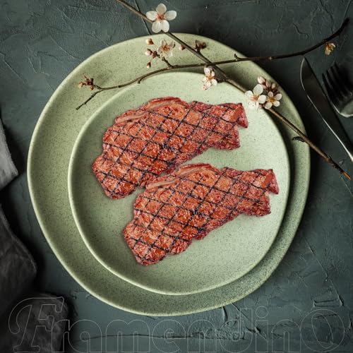 Framendino 2 Pack Artificial Steak for Display and Photography