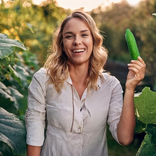 Realistic Squishy Cucumber Artificial Decor