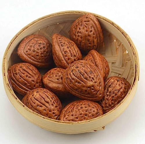 ECYC 20 Pcs Mini Artificial Almond Fruit Decor