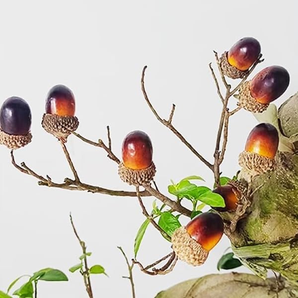 AKOAK Artificial Acorns 30 Pcs Dark Brown Lifelike