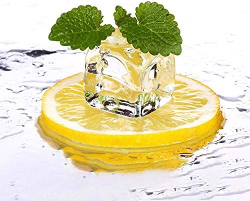 30Pcs Artificial Lemon Slices Wedding Decor Photography Props