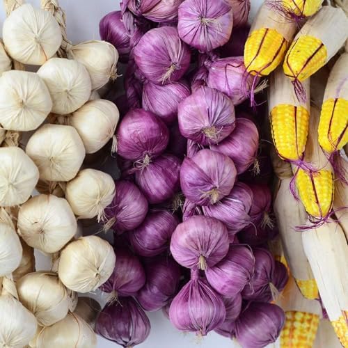 Lifelike Artificial Garlic Hanging String Decor 1 Pack