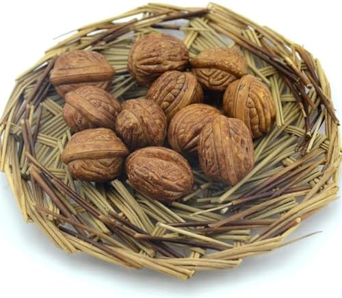 Kungzunmolds Artificial Plastic Walnut 10Pcs Christmas Wedding Home Party Decor