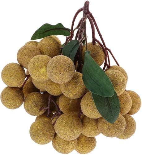 Joylern Artificial Longan Model Lifelike Fruit Ornament
