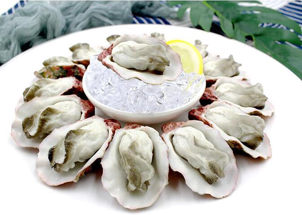 8Pcs Artificial Oysters Display Prop for Kitchen Decorations