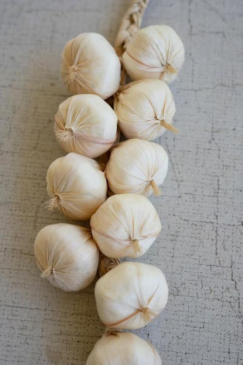 First of a Kind Artificial Garlic String - Lifelike Kitchen Decor