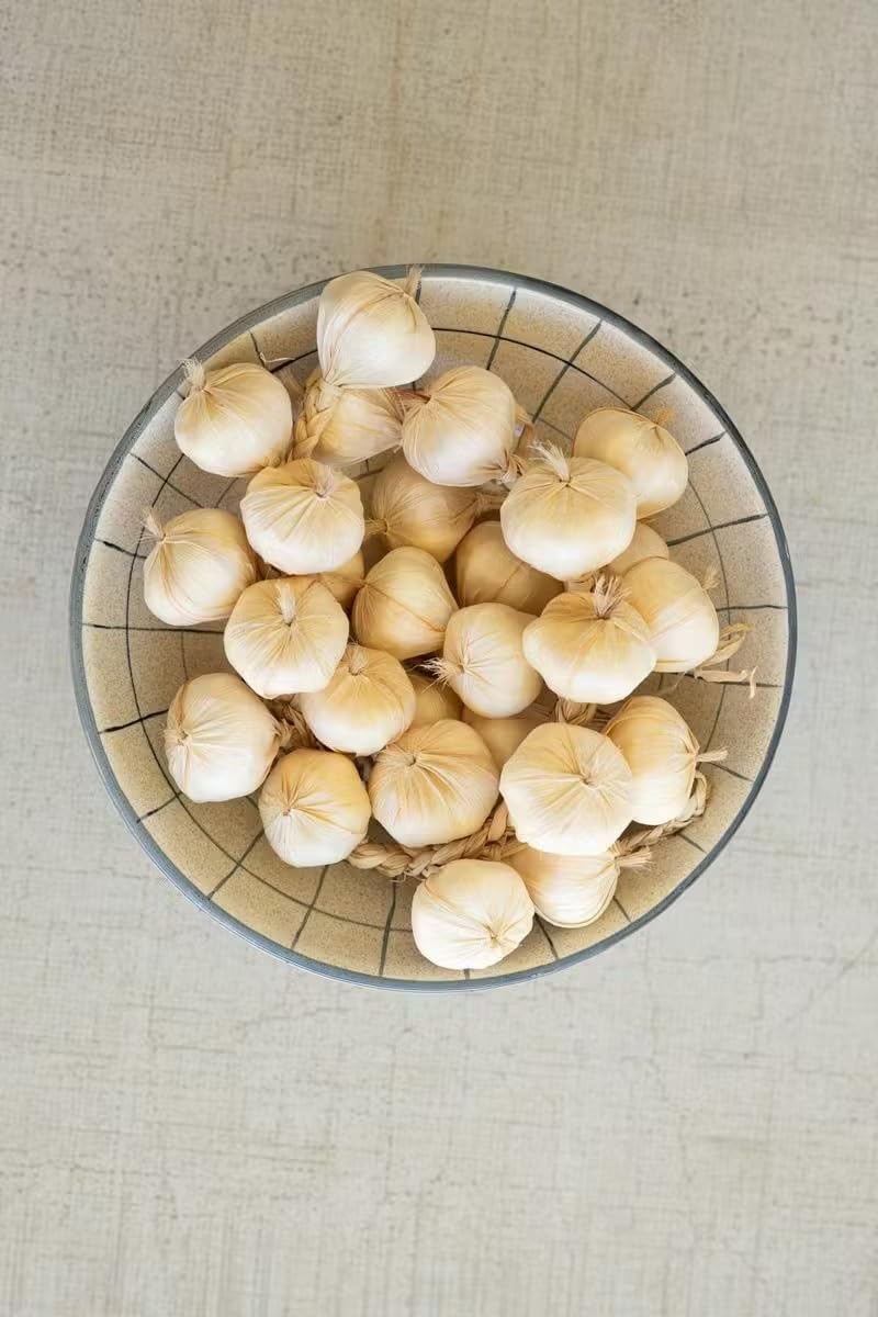 First of a Kind Artificial Garlic String - Lifelike Kitchen Decor