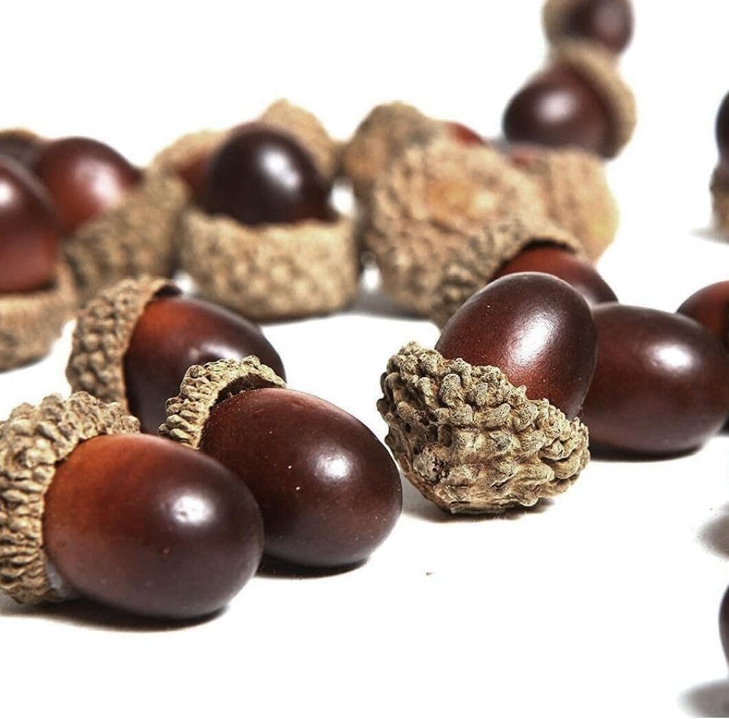 Silver Artificial Acorns Fall Wedding Decoration 20pcs