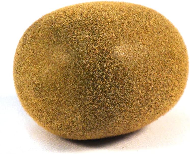 Vasefill 6 Pack Artificial Kiwi Fruit