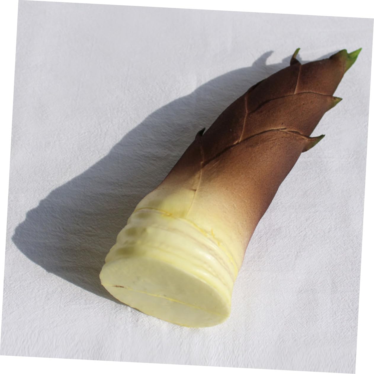 Realistic Fake Vegetable Models for Spring Decoration