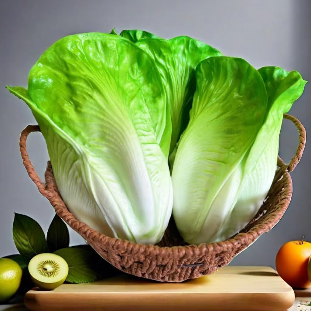 3PCS Realistic Artificial Lettuce for Home Decor