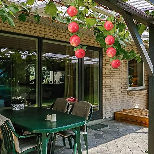 BAOZOON Realistic Fruit Hanging Strings 8 Pcs