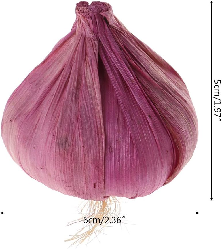 Artificial Garlic Decor for Home Kitchen Dining Room