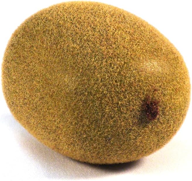 Vasefill 6 Pack Artificial Kiwi Fruit