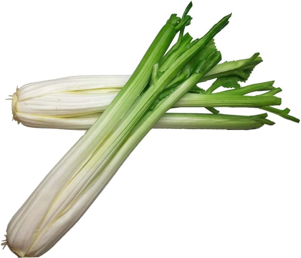 Lorigun Artificial Celery Sticks 2Pcs for Kitchen Decor