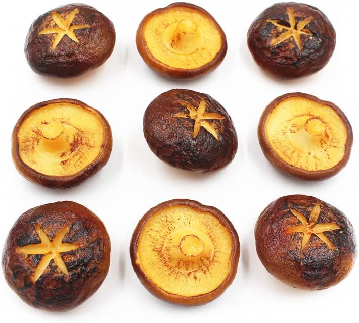 Artificial Barbecue Mushroom Decor 6 Pcs