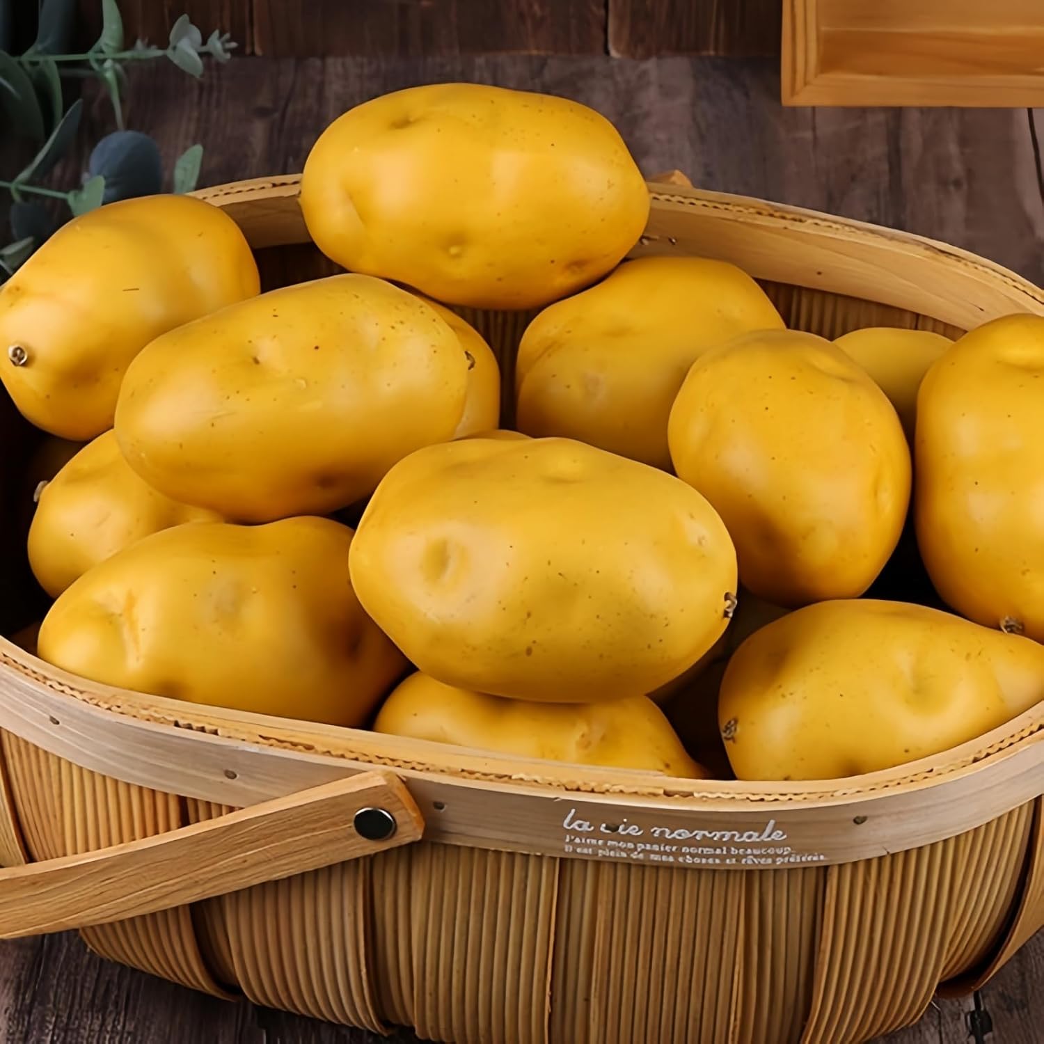 Ulalaza 6PCS Realistic Artificial Vegetables Set