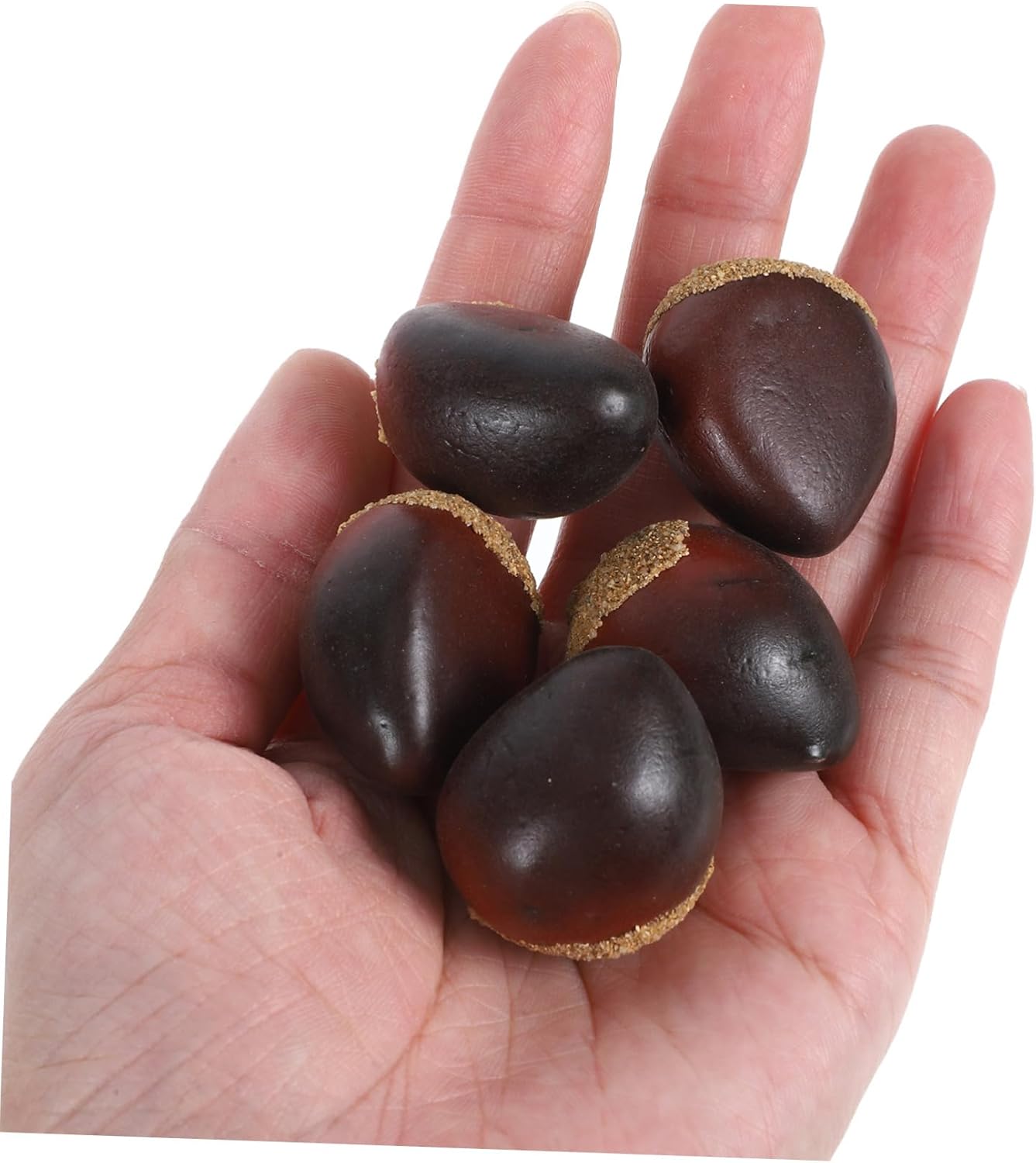 PRETYZOOM 5 Sets Realistic Artificial Chestnuts Decorations