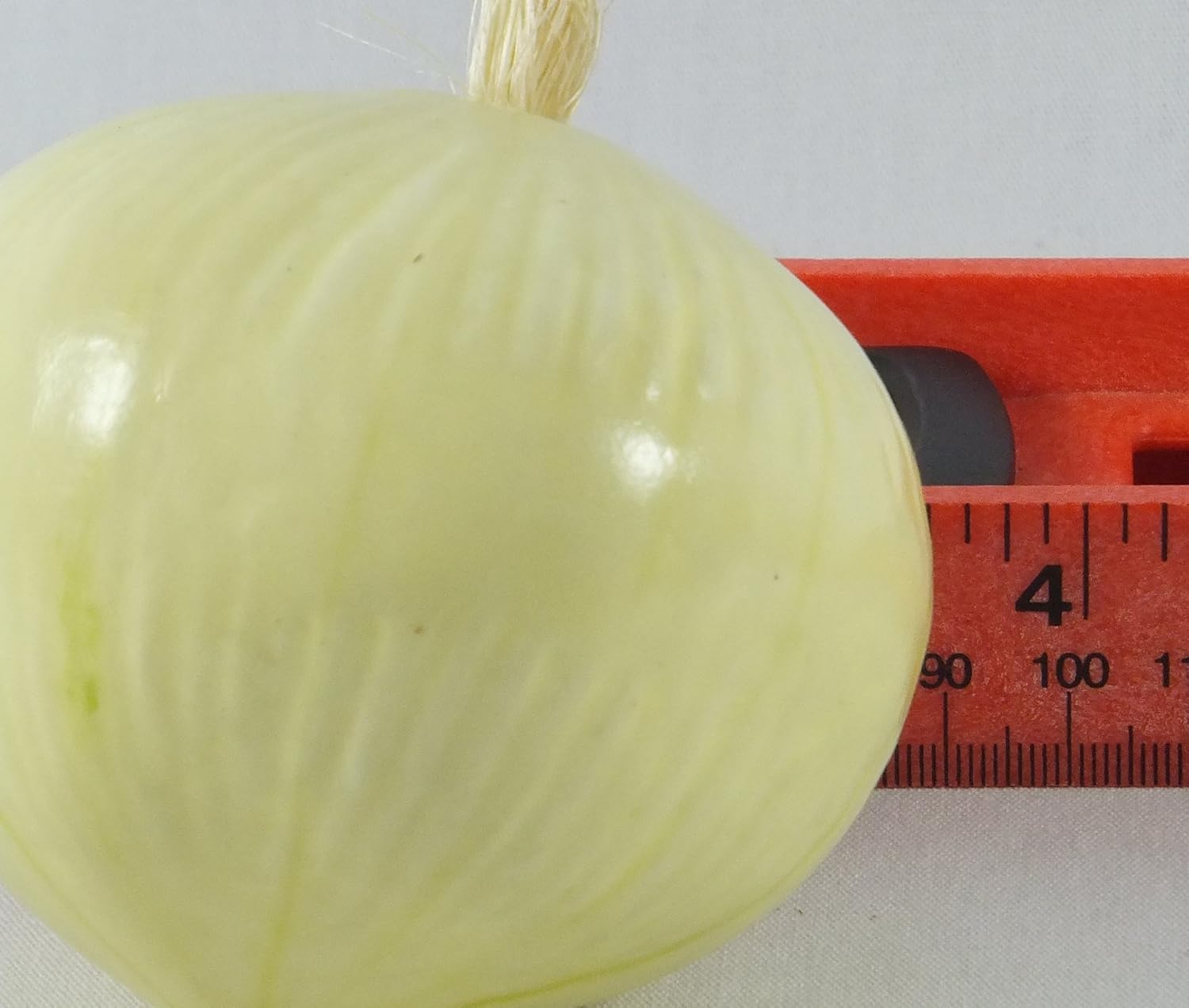 6-Pack Artificial White Onion 35-Inch Decorative