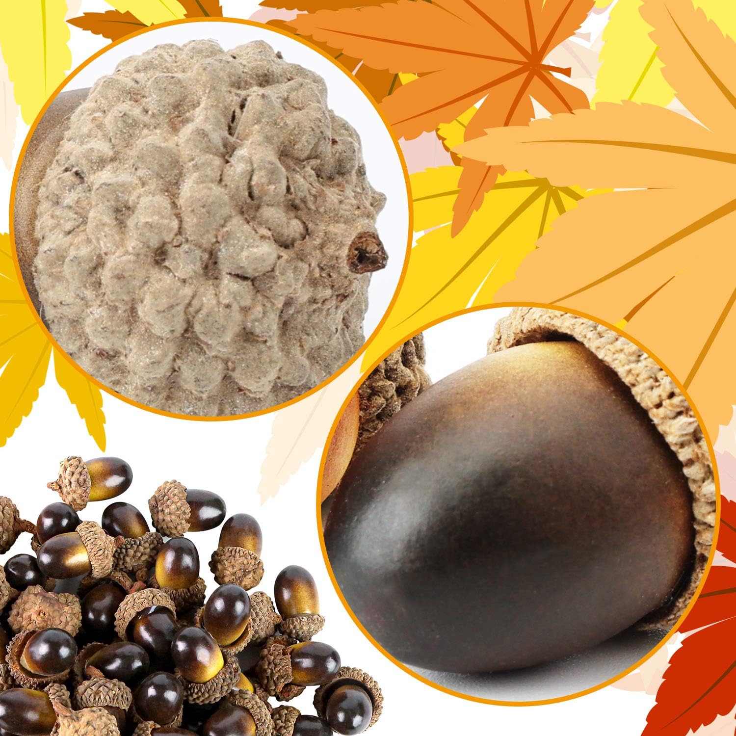 BigOtters 100 PCS Artificial Acorn Decor